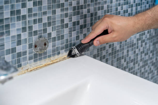 Best Affordable Mold Removal  in Garden City, SC