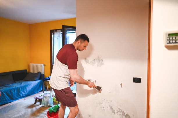 Best Attic Mold Removal  in Garden City, SC